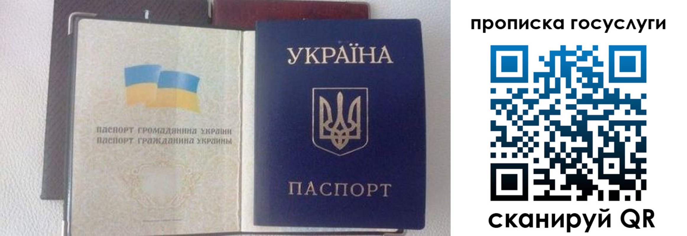 временная регистрация недорого в Димитровграде